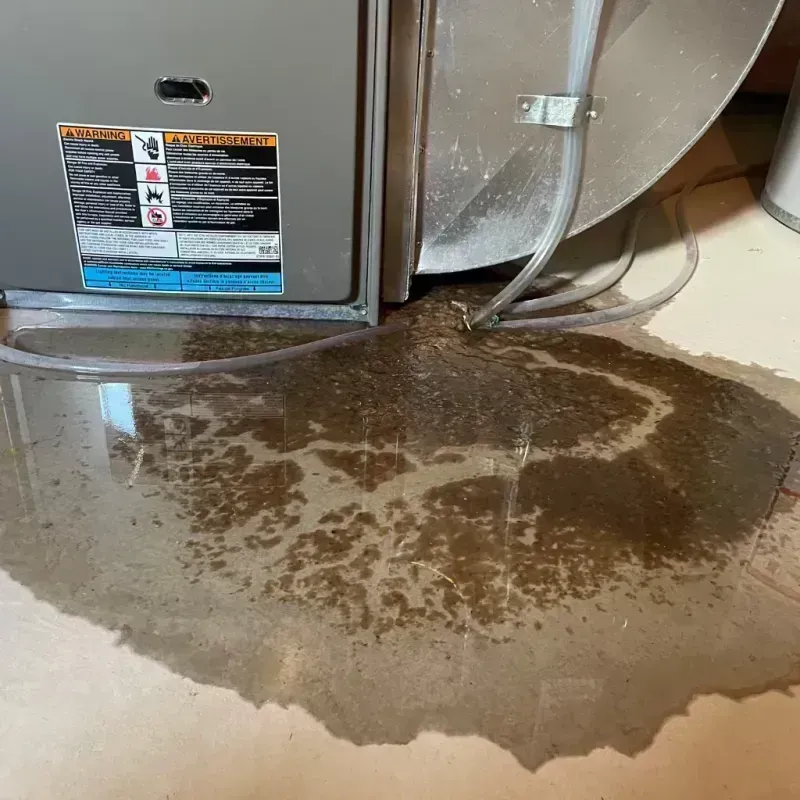 Appliance Leak Cleanup in Harwood Heights, IL